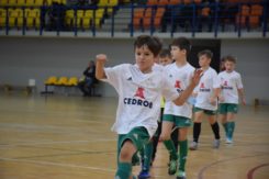 Cedrob Cup 2017- rocznik 2008 i młodsi