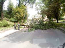 Drzewo blokowało przejazd ulicą 3 - Maja