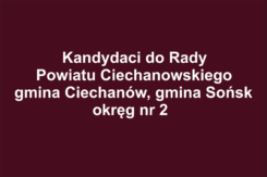 Kandydaci do Rady Powiatu Ciechanowskiego - gmina Ciechanów, gmina Sońsk
