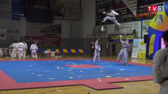 Pokaz ,,Taekwondo Kukkiwon Demo Team