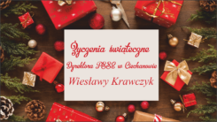 Życzenia świąteczne Dyrektor PSSE w Ciechanowie - Wiesławy Krawczyk