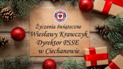 Życzenia świąteczne Wiesławy Krawczyk, dyrektor PSSE w Ciechanowie (VIDEO)